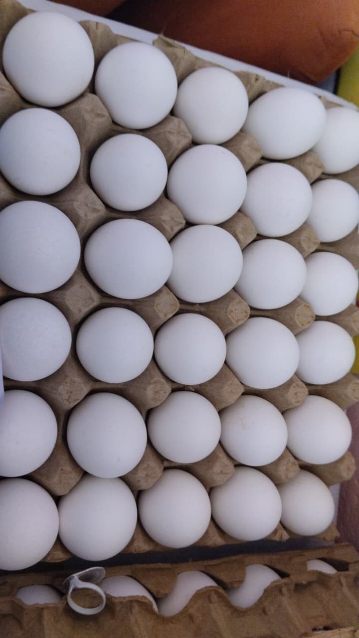 Piezas de pollo en báscula